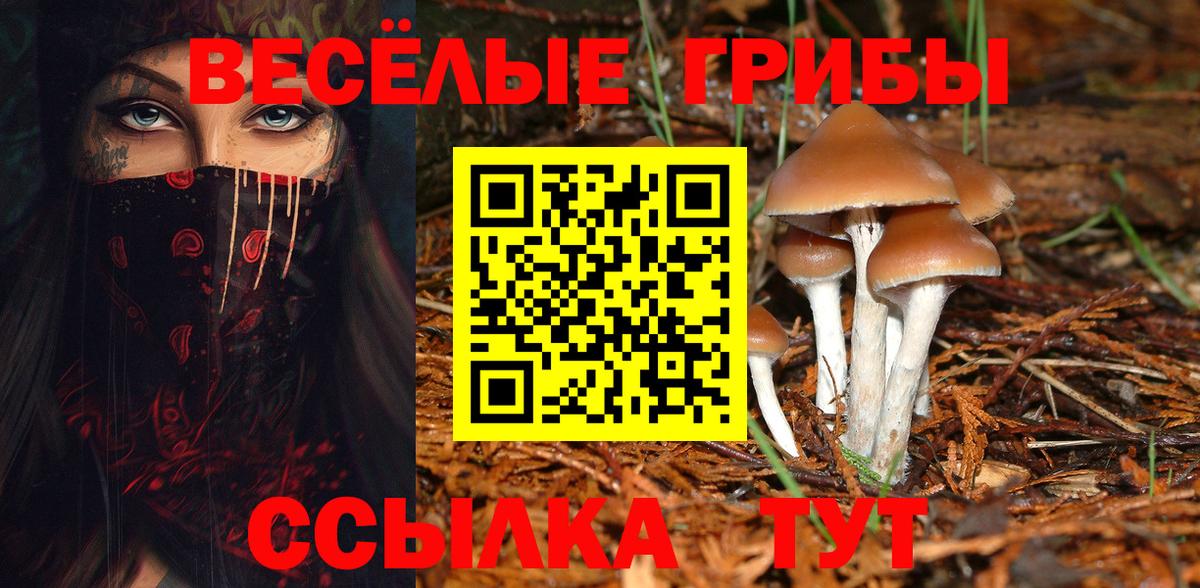 Псилоцибиновые грибы прущие грибы Вологда