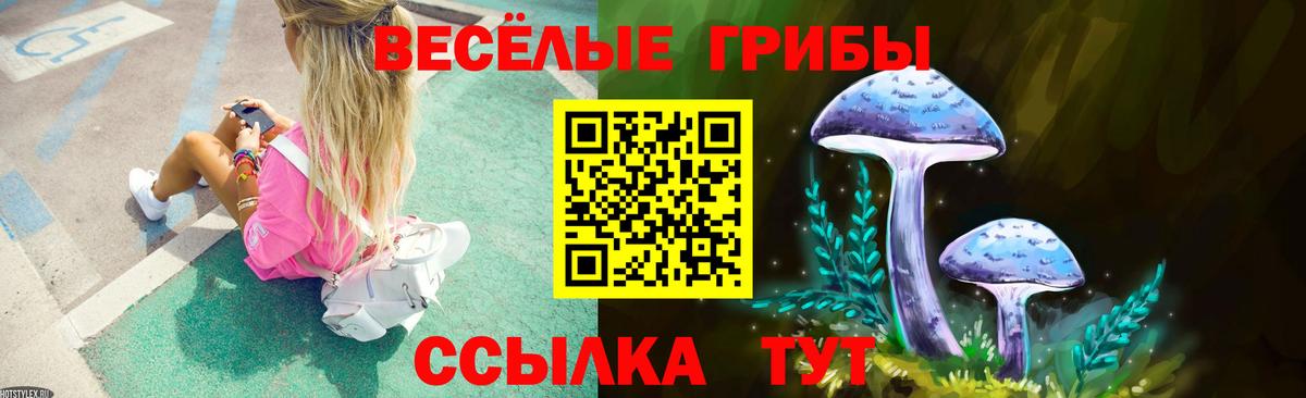 Вологда  Галлюциногенные грибы прущие грибы  как найти закладки  Вход с VPN  Псилоцибиновые грибы мицелий 